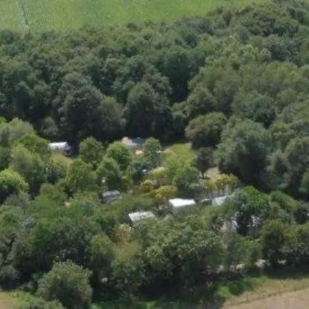 Kamp alanı Mobil Spacieux Avec Terrasse Pour 8 Personnes - Api-1-52-1358 Commequiers