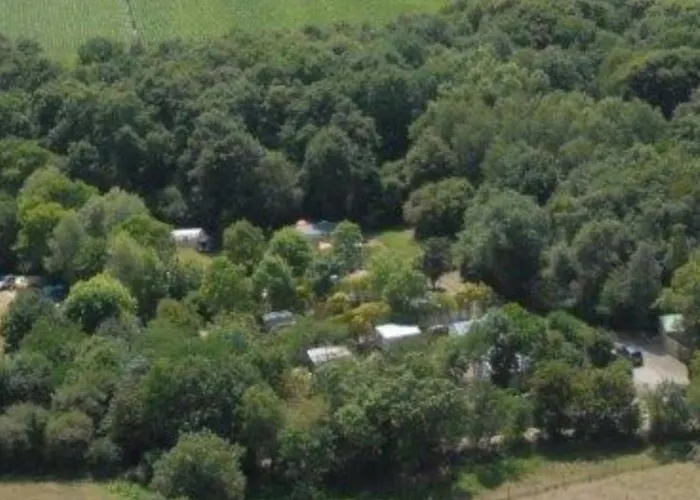 Camping Mobil Spacieux Avec Terrasse Pour 8 Personnes - Api-1-52-1358 Commequiers